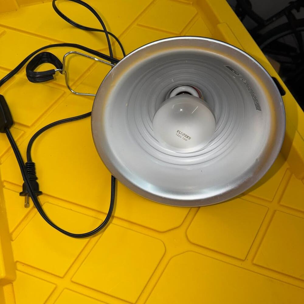 Fluker's Clamp Lamp with 75W Bulb